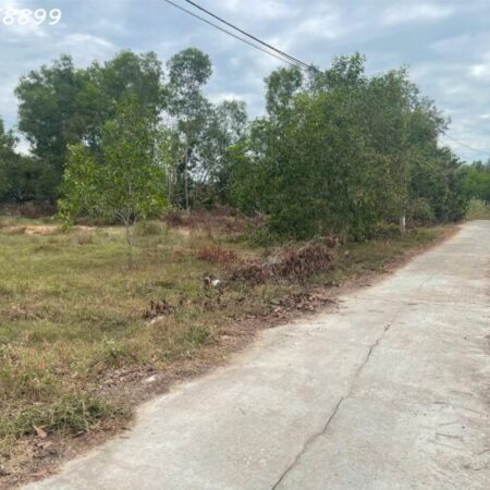 Bán 1912m2 đất ONT Tân Phước – TX LaGi cách Biển 500m chính chủ