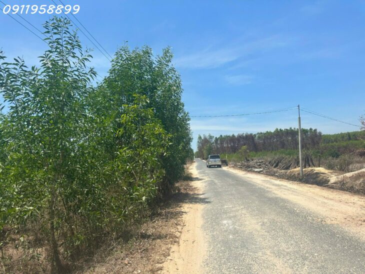 Đất ngộp 27m x 47m Đường Lý Nam Đế, thị xã LaGi chỉ 100 triệu/m ngang sổ riêng