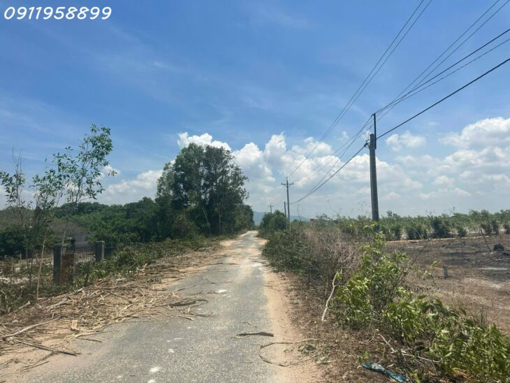 Đất ngộp 27m x 47m Đường Lý Nam Đế, thị xã LaGi chỉ 100 triệu/m ngang sổ riêng