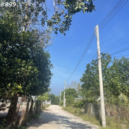 Đất LaGi 113m2 ONT Lô 2 Trưng Trắc – Tân An – TX LaGi chỉ 800 triệu sổ riêng