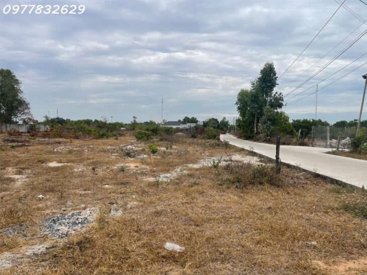Bán gấp 6m x 43m đất ONT Tân Phước – TX LaGi giá chỉ 1.2 tỷ sổ riêng gần 577