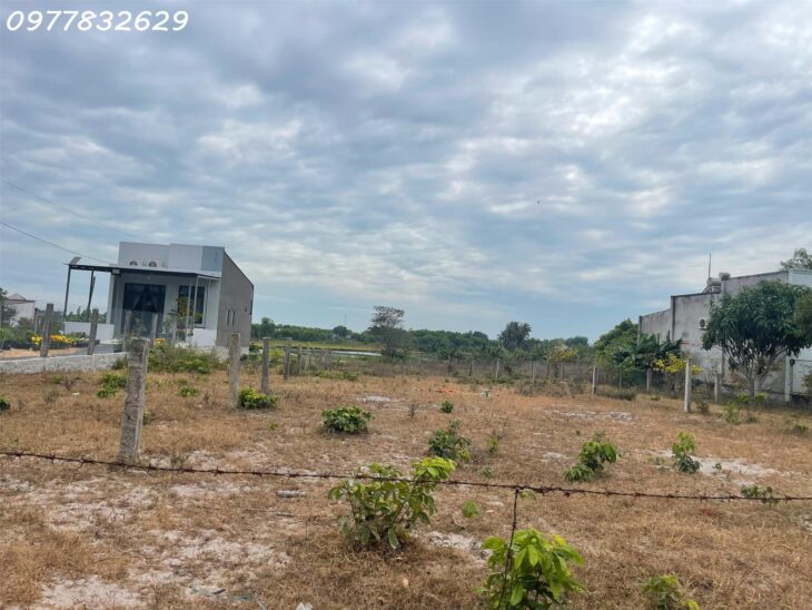 Bán gấp 6m x 43m đất ONT Tân Phước – TX LaGi giá chỉ 1.2 tỷ sổ riêng gần 577