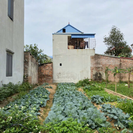 BÁN ĐẤT MAI ĐÌNH, SÓC SƠN, HÀ NÔI. 95M2, MT 5.95M. NỞ HẬU GIÁ 2,66 TỶ