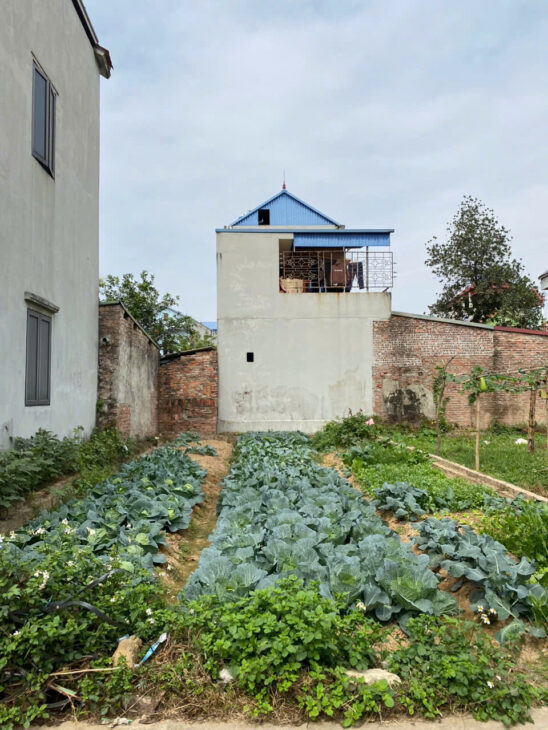 CẦN BÁN NHANH 95M ĐẤT HƯƠNG ĐÌNH, MAI ĐÌNH, SÓC SƠN. MT 5,95M. FULL THỔ CƯ. GIÁ CHỈ 28TR/M