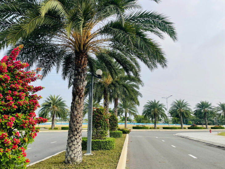 Bán đất thổ cư 90m2, Xã Thanh Phú, Bến Lức, Long An – Sổ Hồng