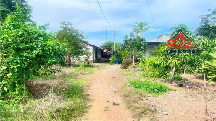 bán nhà cấp 4 với dt đất rộng phù hợp xây dựng nhà nghỉ dưỡng. gần đập thủy điện