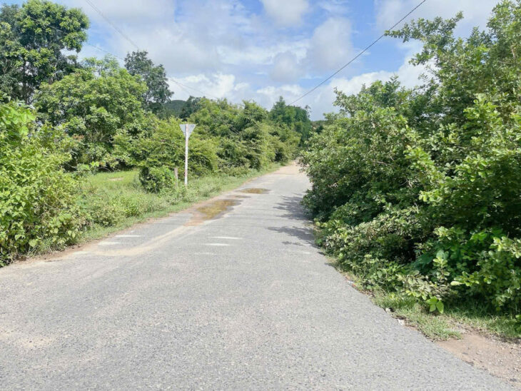 Bán 110m x 140m đất thổ cư Quốc Lộ 1A, Xã Bình Tân, Huyện Bắc Bình giá ngộp 1.03 tr/m2