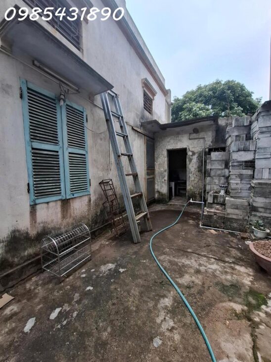 SOS Thời Điểm Vàng Đầu Tư – Lô Đất Tiềm Năng 75m2 giá nhỉnh 50tr/m2 gần Ocean Park 1 Gia Lâm