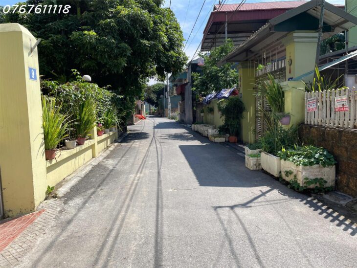 Bán đất đông dư Gia Lâm,sát cầu Thanh Trì, ô tô tránh, 60m, MT4m, 5 tỷ dư