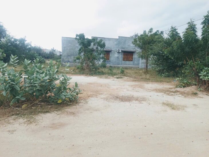 ???? BÁN LÔ ĐẤT TÁI ĐỊNH CƯ LA CHỮ – GIÁ TỐT CHỈ 495 TRIỆU ????