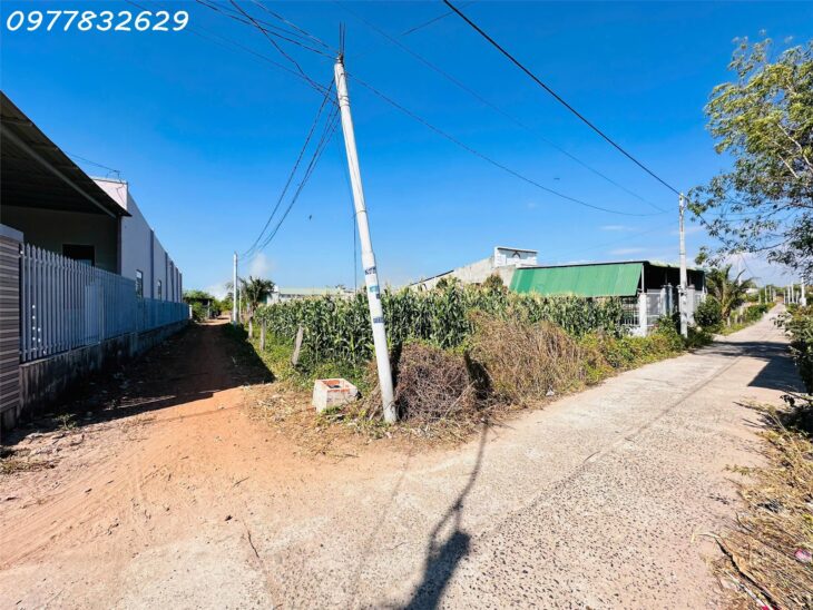 Đất Thổ Cư Tân Bình, Lagi: 197m², Ô Tô Tận Nơi, Gần Biển, Giá 1.1 Tỷ