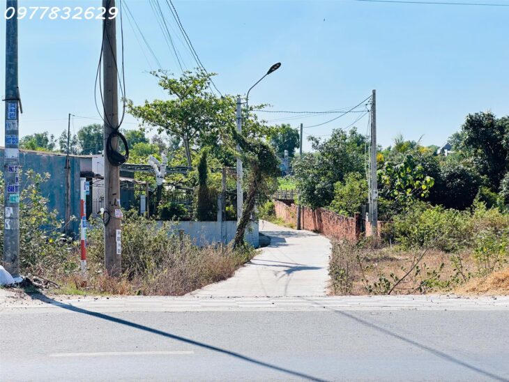 Đất Thổ Cư Tân Bình, Lagi: 197m², Ô Tô Tận Nơi, Gần Biển, Giá 1.1 Tỷ