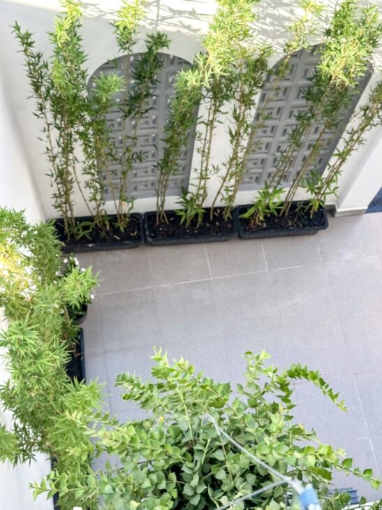 Bán Nhà Nguyễn Thái Sơn 60m2, 3 P.Ngủ Gần C.Viên Gia Định Nhỉnh 5 Tỉ