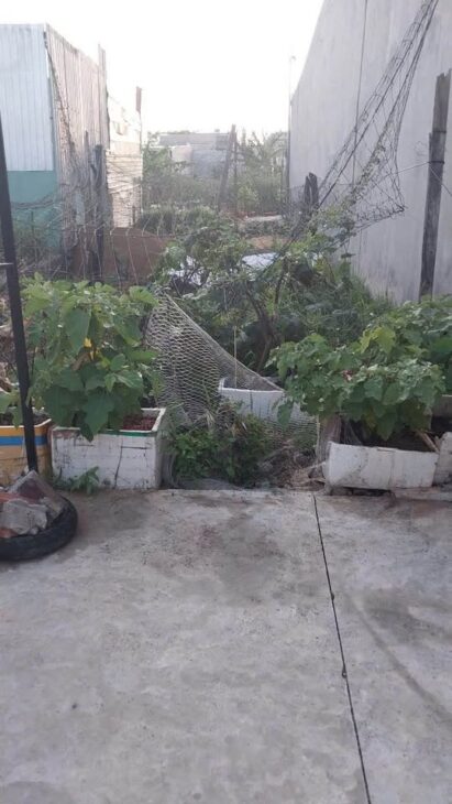 CHÍNH CHỦ CẦN BÁN ĐẤT – Giá Yêu thương – Vị Trí ĐẸP 2 Mặt Tiền Hẻm CHÍNH CHỦ CẦN BÁN ĐẤT – Giá Yêu thương – Vị Trí ĐẸP 2 Mặt Tiền Hẻm