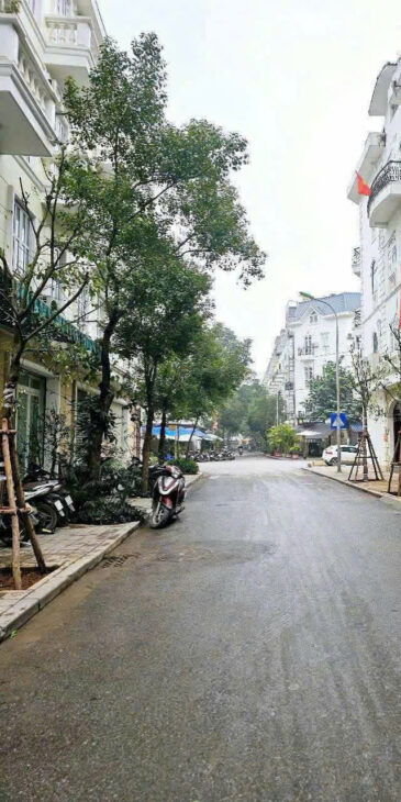 BIỆT THỰ LIỀN KỀ DƯƠNG NỘI ???? HÀ ĐÔNG ???? 100M2 x 5T ???? MT 5M ???? PHÂN LÔ ???? Ô TÔ TRÁNH ???? KD