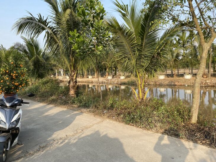 Cần Bán Đất Sổ Đỏ 400m2 Đội 6, xã Phú Hưng – Ý Yên – Nam Định