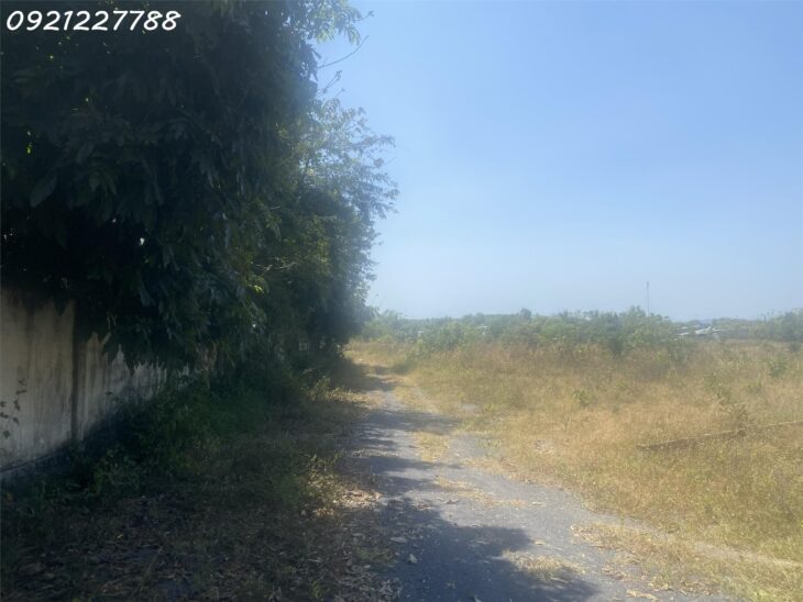 Bán 5 lô đất liền kề xã Phước Thuận cách biên Hồ Tràm chỉ 4 km, có thổ cư mà giá hơn 3 tỷ liên hệ