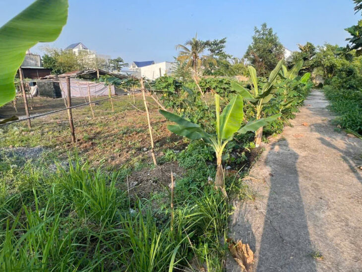 CHÍNH CHỦ Cần Bán THỬA ĐẤT -Giá Yêu Thương