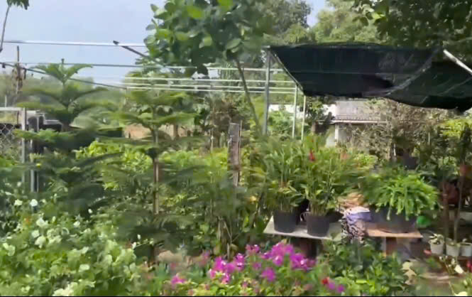 Bán đất mặt tiền trục chính Tp Bà Rịa, giá đầu tư