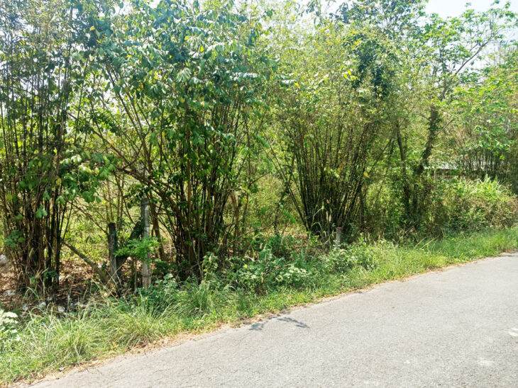 Bán đất đường 762 – 157m2 – 5×32 – 152m2 thổ cư – xã An Nhơn Tây – Củ Chi