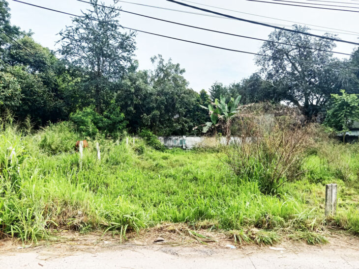 Bán đất 1/ đường Bến Súc – 127m2 – 6×21 – 109m2 thổ cư – xã An Phú – Củ Chi