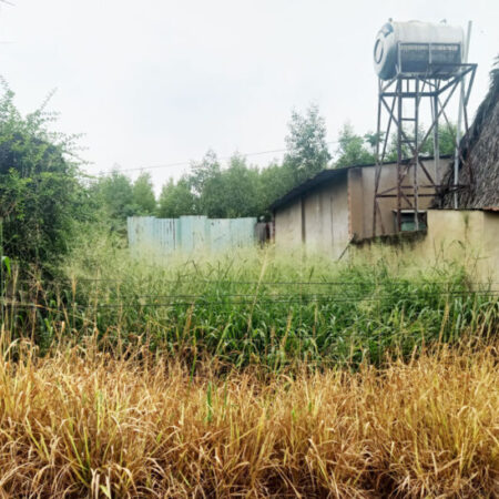 Đất 1/ đường Bến Súc – 71m2 – 5×14 – 63m2 thổ cư – xã An Phú – Củ Chi Đất 1/ đường Bến Súc – 71m2 – 5×14 – 63m2 thổ cư – xã An Phú – Củ Chi