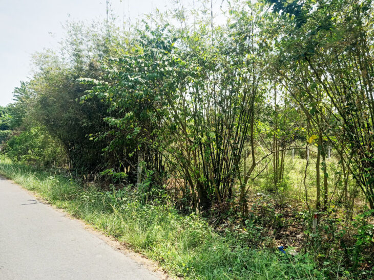 Bán đất đường 762 – 157m2 – 5×32 – 152m2 thổ cư – xã An Nhơn Tây – Củ Chi