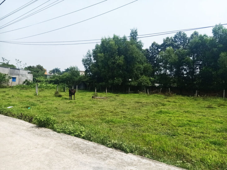 Đất 1/ đường Nguyễn Thị Nê – 120m2 – 4×28 – 104m2 thổ cư – xã Phú Hòa Đông – Củ Chi