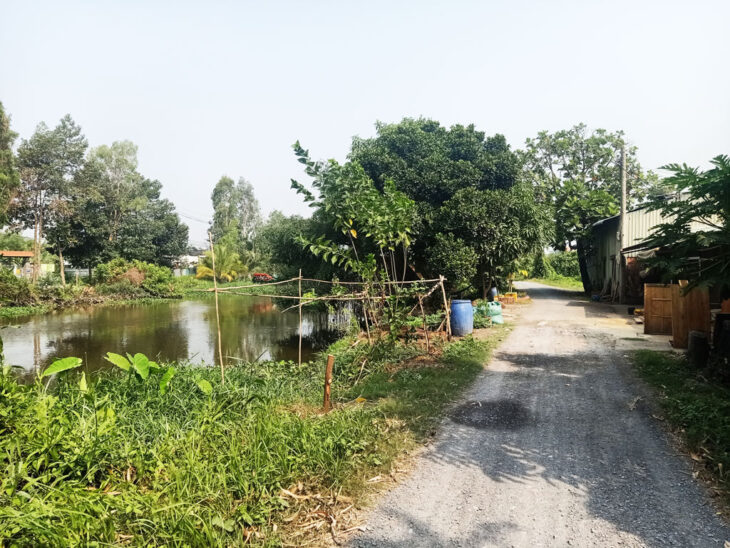 Bán đất 1/ đường Bình Mỹ – 1552m2 – 6.7×81 nở hậu 21m – 100m2 thổ cư – xã Bình Mỹ – Củ Chi