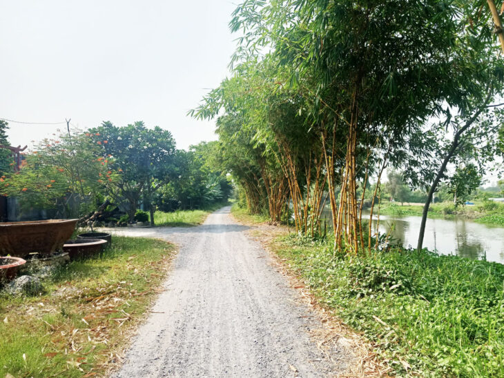 Bán đất 1/ đường Bình Mỹ – 1552m2 – 6.7×81 nở hậu 21m – 100m2 thổ cư – xã Bình Mỹ – Củ Chi