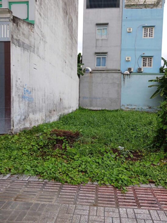 ???? BÁN GẤP 80M² ĐẤT DỰ ÁN CHỢ BÌNH ĐIỀN – QUẬN 8 CHỈ 58 TR/M2 ????