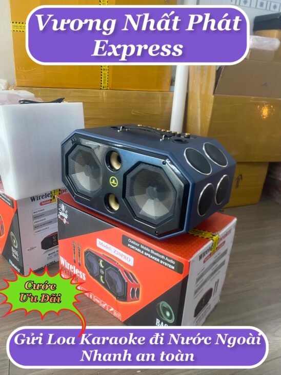 Gửi Loa Karaoke Đi Canada Giá Rẻ