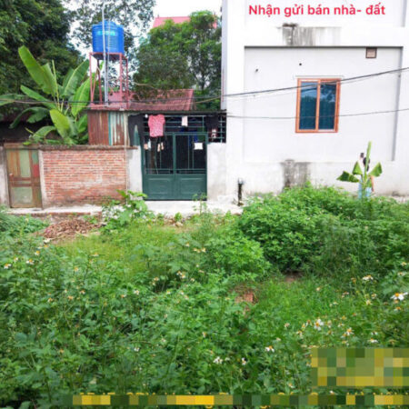 Bán đất Mai Đình, Sóc Sơn, HN. Gần sân bay và khu công nghiệp Nội Bài. Siêu nhỏ, siêu hiếm. Bán đất Mai Đình, Sóc Sơn, HN. Gần sân bay và khu công nghiệp Nội Bài. Siêu nhỏ, siêu hiếm.