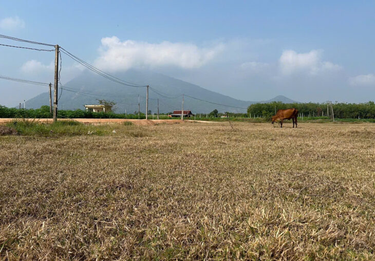 ĐẤT ĐẸP – ĐẦU TƯ SINH LỜI – Vị Trí Tại : Phước Bình 1 – Xã Suối Đá – Dương Minh Châu – Tây Ninh