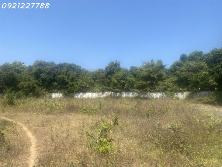 Bán 5 lô đất liền kề xã Phước Thuận cách biên Hồ Tràm chỉ 4 km, có thổ cư mà giá hơn 3 tỷ liên hệ