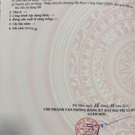 Chủ gửi lô góc hoa hậu tại thôn Cẩm Sơn xã Cẩm xá thị xã Mỹ hào Chủ gửi lô góc hoa hậu tại thôn Cẩm Sơn xã Cẩm xá thị xã Mỹ hào
