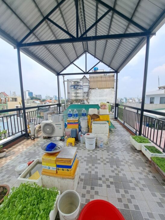 BÁN NHÀ 4 TẦNG, 65M2, NGUYỄN DU, GÒ VẤP – GIÁ 6.88 TỶ – SỔ HỒNG CHÍNH CHỦ