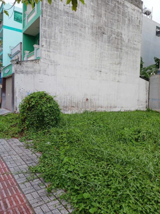???? BÁN GẤP 80M² ĐẤT DỰ ÁN CHỢ BÌNH ĐIỀN – QUẬN 8 CHỈ 58 TR/M2 ????