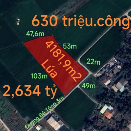 Bán gấp lô đất lúa hai mặt tiền hạ giá 630 triệu.công Bán gấp lô đất lúa hai mặt tiền hạ giá 630 triệu.công