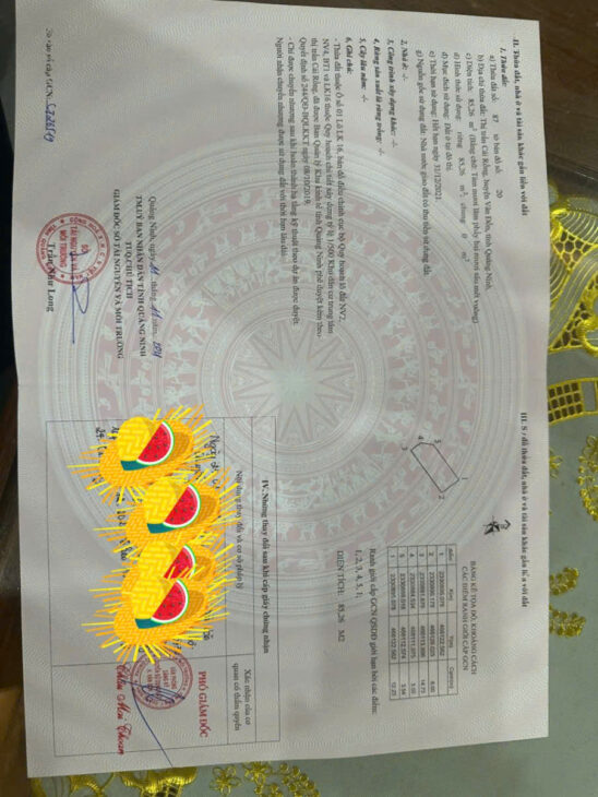 Bán đất nền KĐT Vương Long Vân Đồn – Giá rẻ nhất khu vực, đầu tư sinh lời cao!