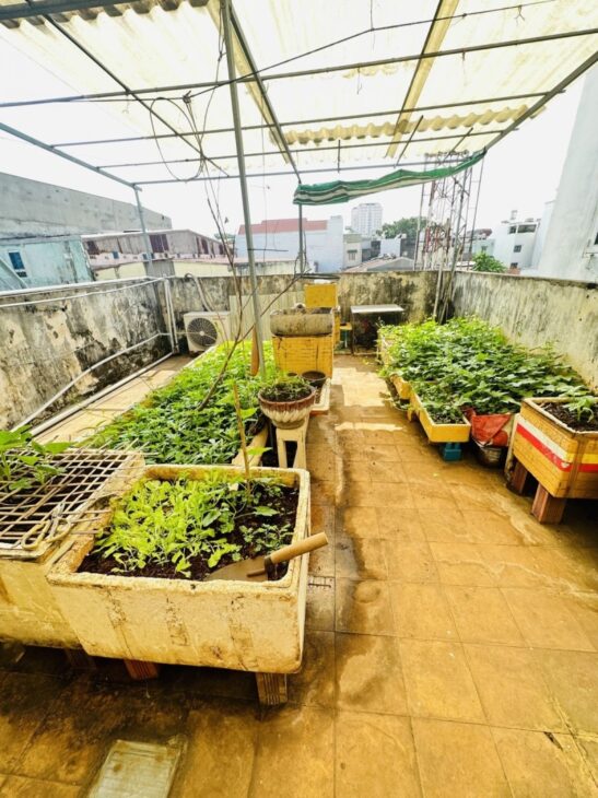 Bán nhà 66m2, Hẻm xe tải 6m Đường Lý Thánh Tông, Quận Tân Phú