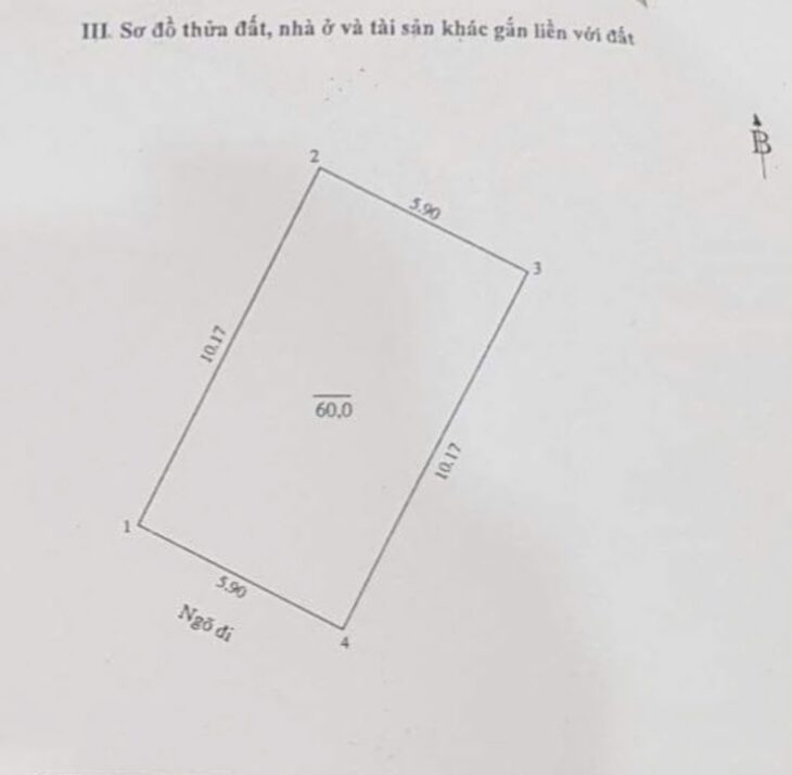 MẶT NGÕ Ô TÔ TRÁNH – TRẦN QUANG DIỆU – VỈA HÈ – KINH DOANH – HƠN 25 TỶ