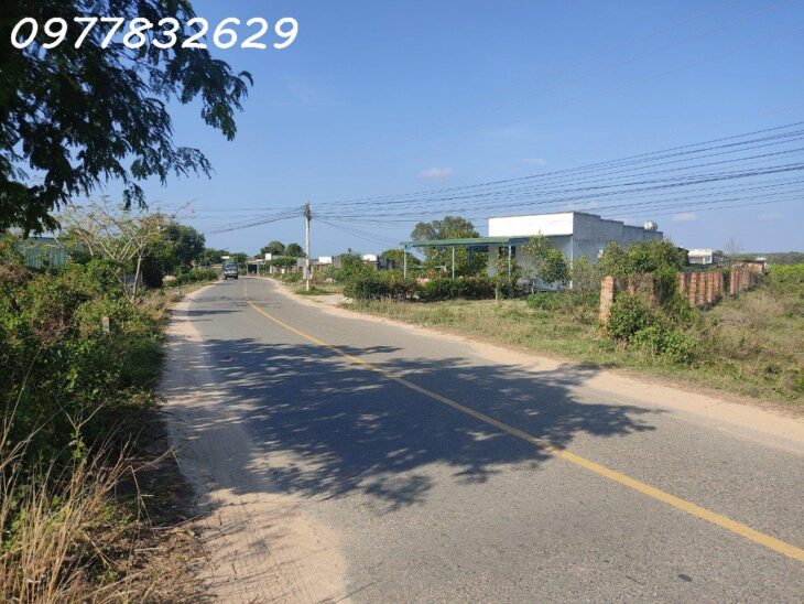 Đất Mặt Tiền Nguyễn Minh Châu, Lagi: 3500m², 300m² Thổ Cư, Giá 290 Triệu/m Ngang