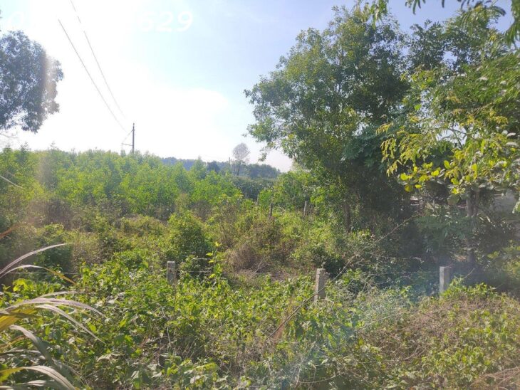 Đất Mặt Tiền Nguyễn Minh Châu, Lagi: 3500m², 300m² Thổ Cư, Giá 290 Triệu/m Ngang