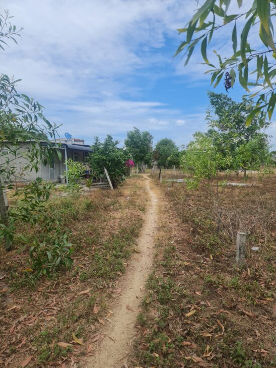 Bán đất thổ cư Tân Phước, thị xã LaGi gần Biển Cam Bình giá rẻ 870 triệu