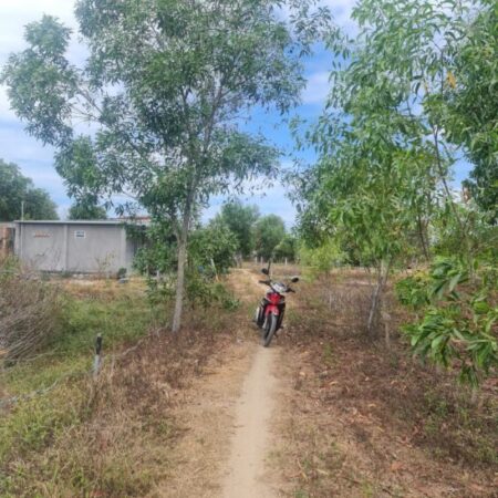 Bán đất thổ cư Tân Phước, thị xã LaGi gần Biển Cam Bình giá rẻ 870 triệu Bán đất thổ cư Tân Phước, thị xã LaGi gần Biển Cam Bình giá rẻ 870 triệu
