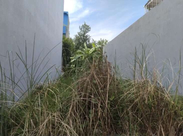 BÁN ĐẤT 150M² – NGANG 6M – XÂY CĂN HỘ 7 TẦNG CHO THUÊ CỰC TỐT GIÁ 9 TỶ