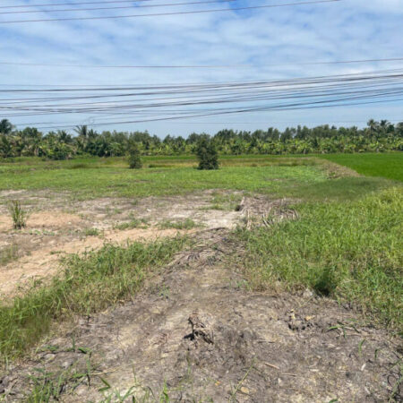 Cần bán đất nền tại ấp 10, xã Thuận Hưng, huyện Long Mỹ, tỉnh Hậu Giang (kế bên cầu Ba Phát). Giá: