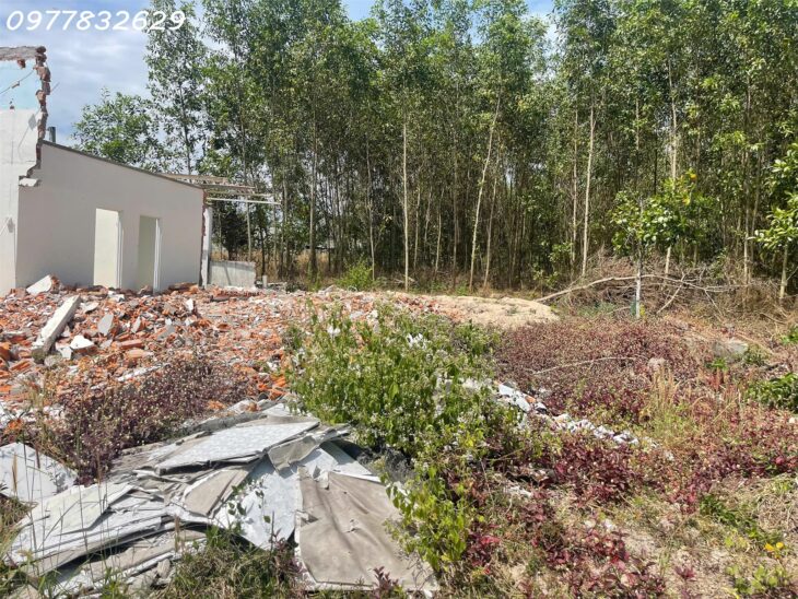 Đất Khu Phố 8, Tân An, Lagi: 91m², Thổ Cư 40m², Ô Tô Tận Nơi, Giá 595 Triệu