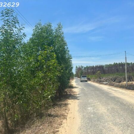 Đất ngộp mặt tiền Lý Nam Đế – Tân Phước – TX laGi chỉ 100tr/m ngang Đất ngộp mặt tiền Lý Nam Đế – Tân Phước – TX laGi chỉ 100tr/m ngang